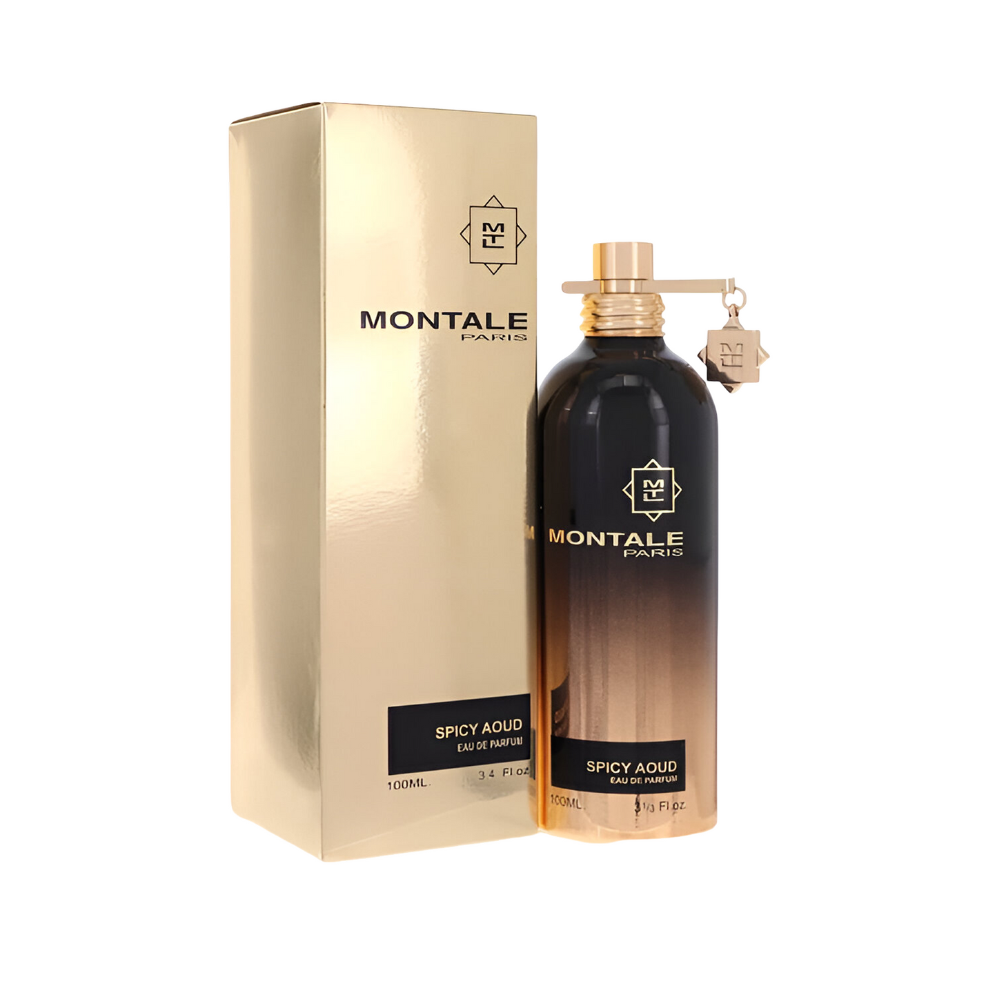 MONTALE SPICY AOUD 