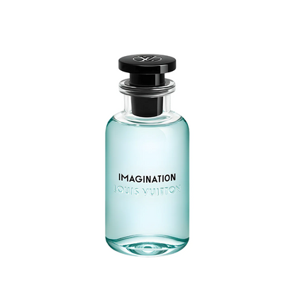 Imagination