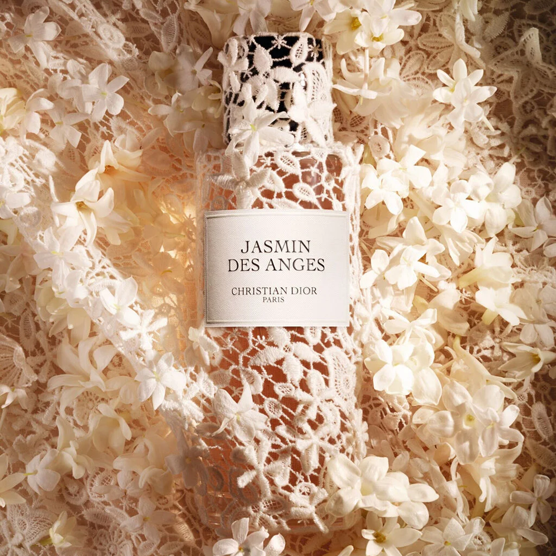 Jasmin des Anges