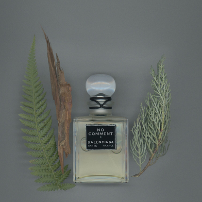 No Comment Parfum