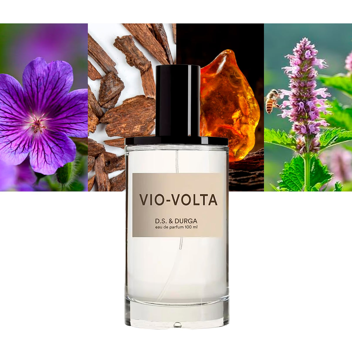 Vio Volta
