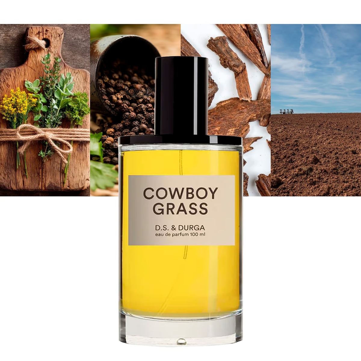 Cowboy Grass