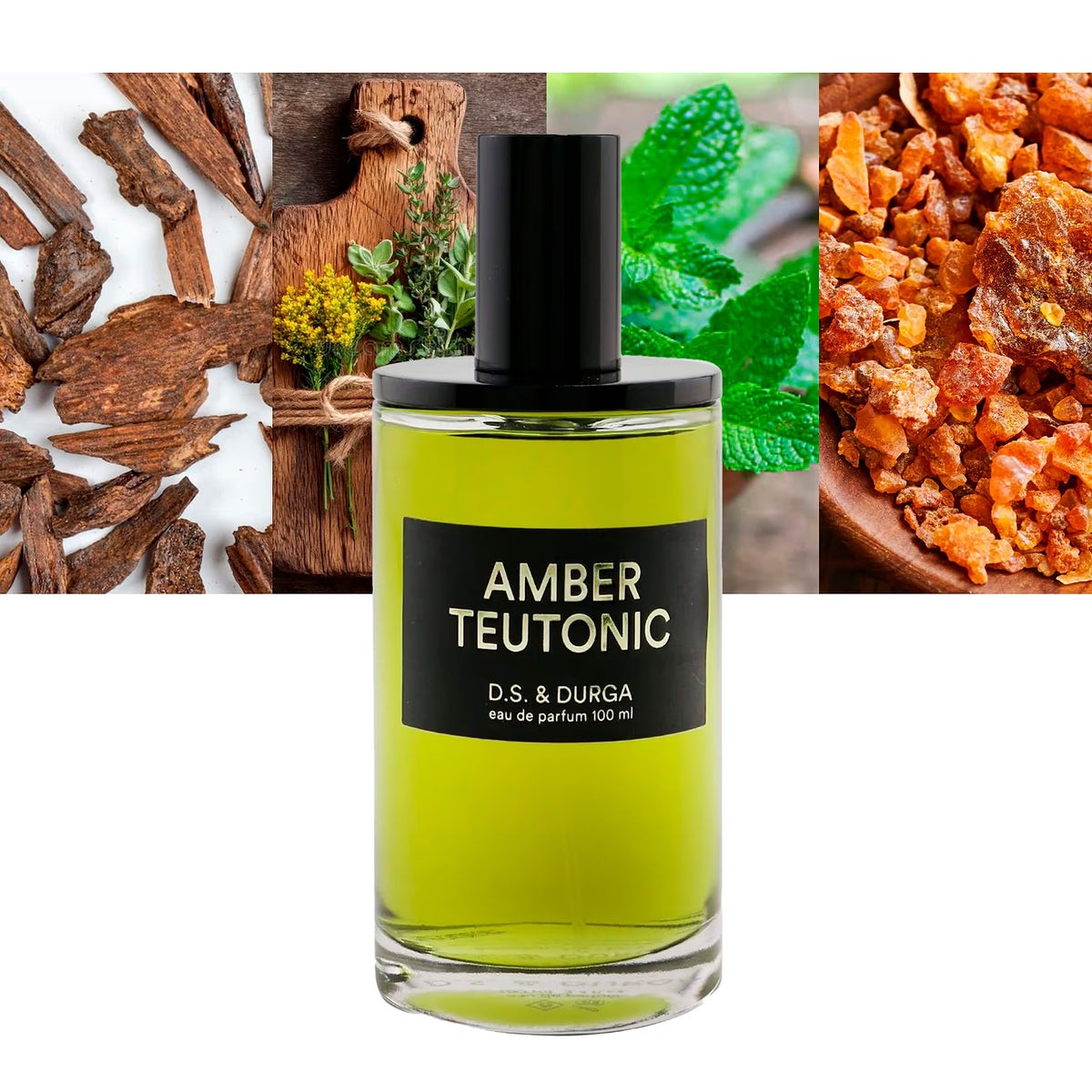 Amber Teutonic