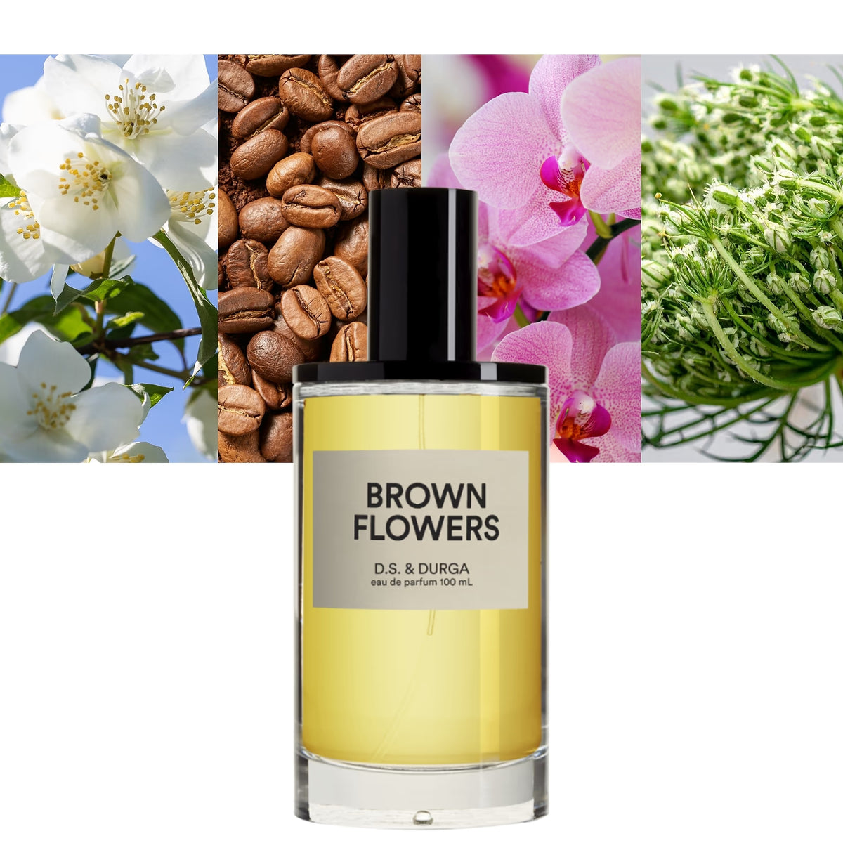 Brown Flowers