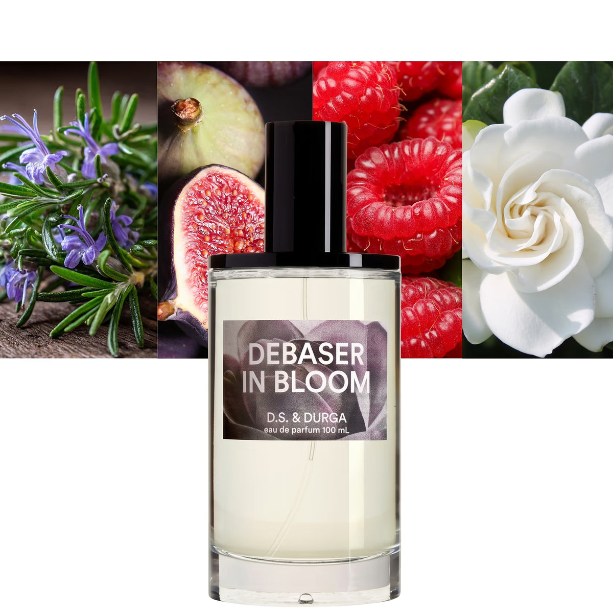 Debaser in Bloom