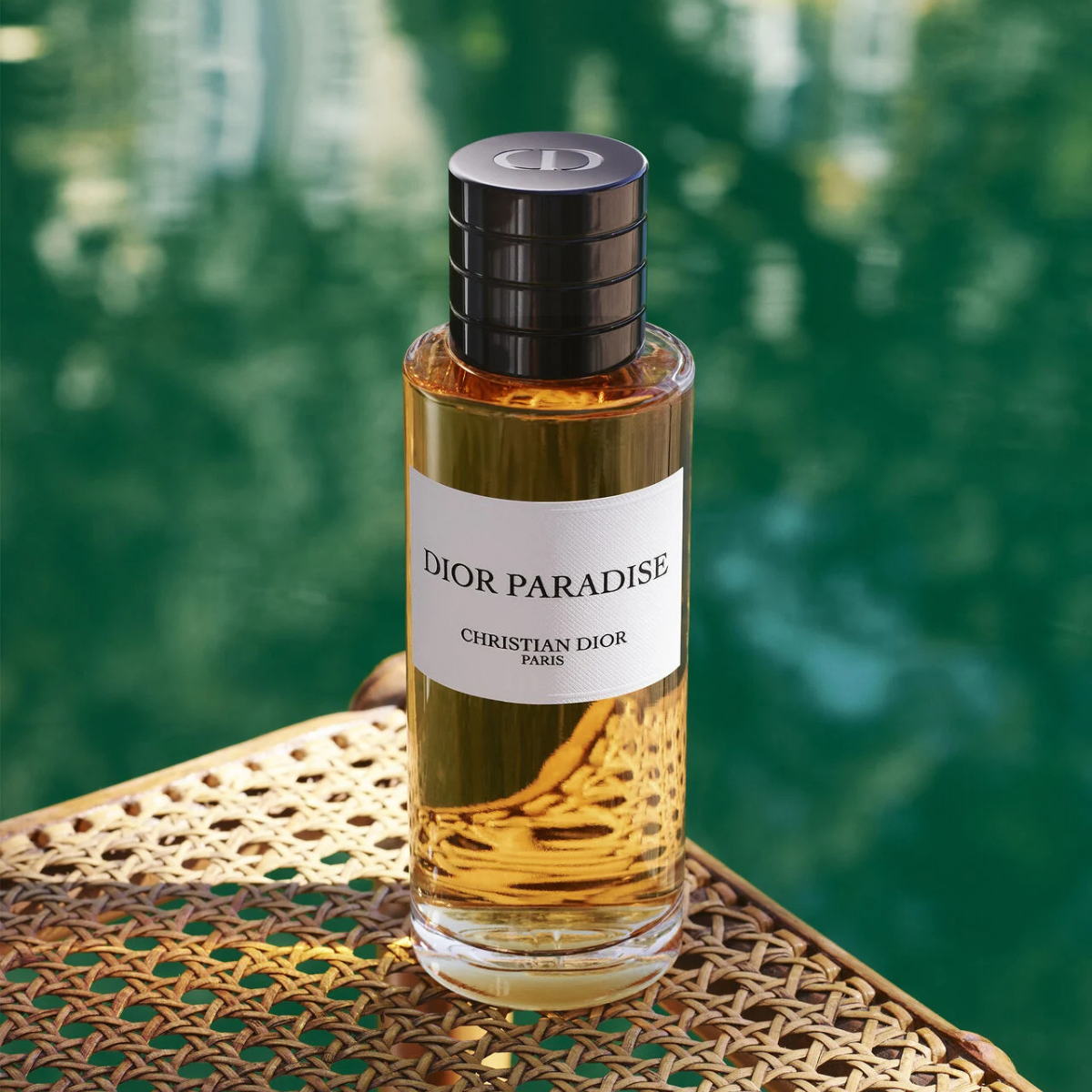 Dior Paradise